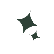 About Elan Securities